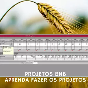Imagem de capa para o Curso online PROJETOS PRONAF BANCO DO NORDESTE