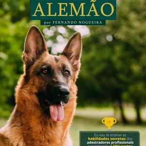 Imagem do curso Treinando Seu Pastor Alemão