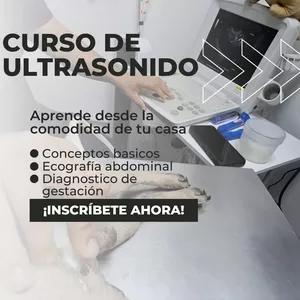Imagen de portada para Curso online Curso de ecografía veterinaria 