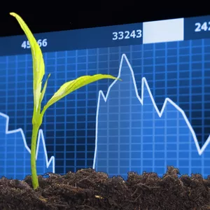 Imagem de capa para o Curso online Mercados Agropecuários - Interpretação de Sinais e Tendências