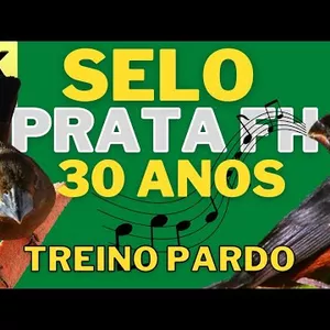 Imagem de capa para o Curso online Encarte canto praia classico selo prata fh 30 anos