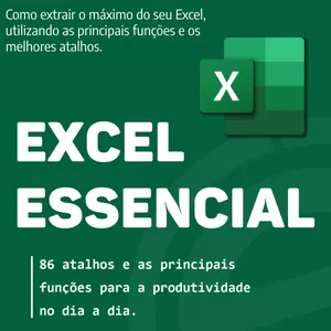 Imagem de capa para o Ebook Excel Essencial
