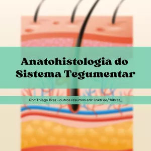 Imagem de capa para o Ebook [Resumo] Anatohistologia do Sistema Tegumentar