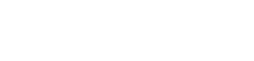Slash by Fast Sport logo
