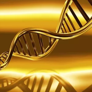 Imagem de capa para o Curso online Curso DNA COCRIADOR