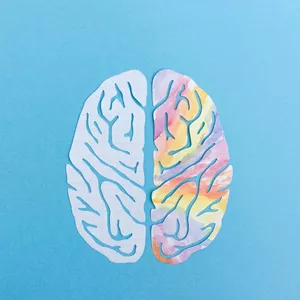 Imagem do curso Teoria do Hemisfério Direito 