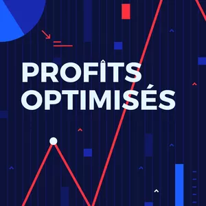 Image de couverture pour le Ebook Profits optimisés 