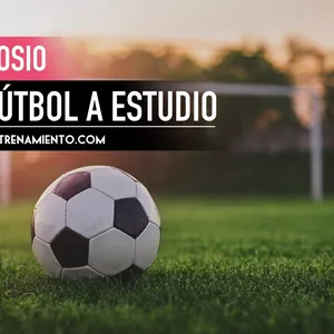 Imagen de portada para Curso online Simposio sobre fútbol