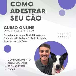 Capa do curso 