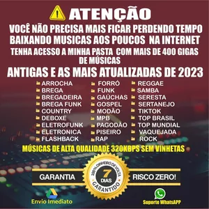 Imagem do curso Pack + de 20 mil musicas ATUALIZADAS 2024