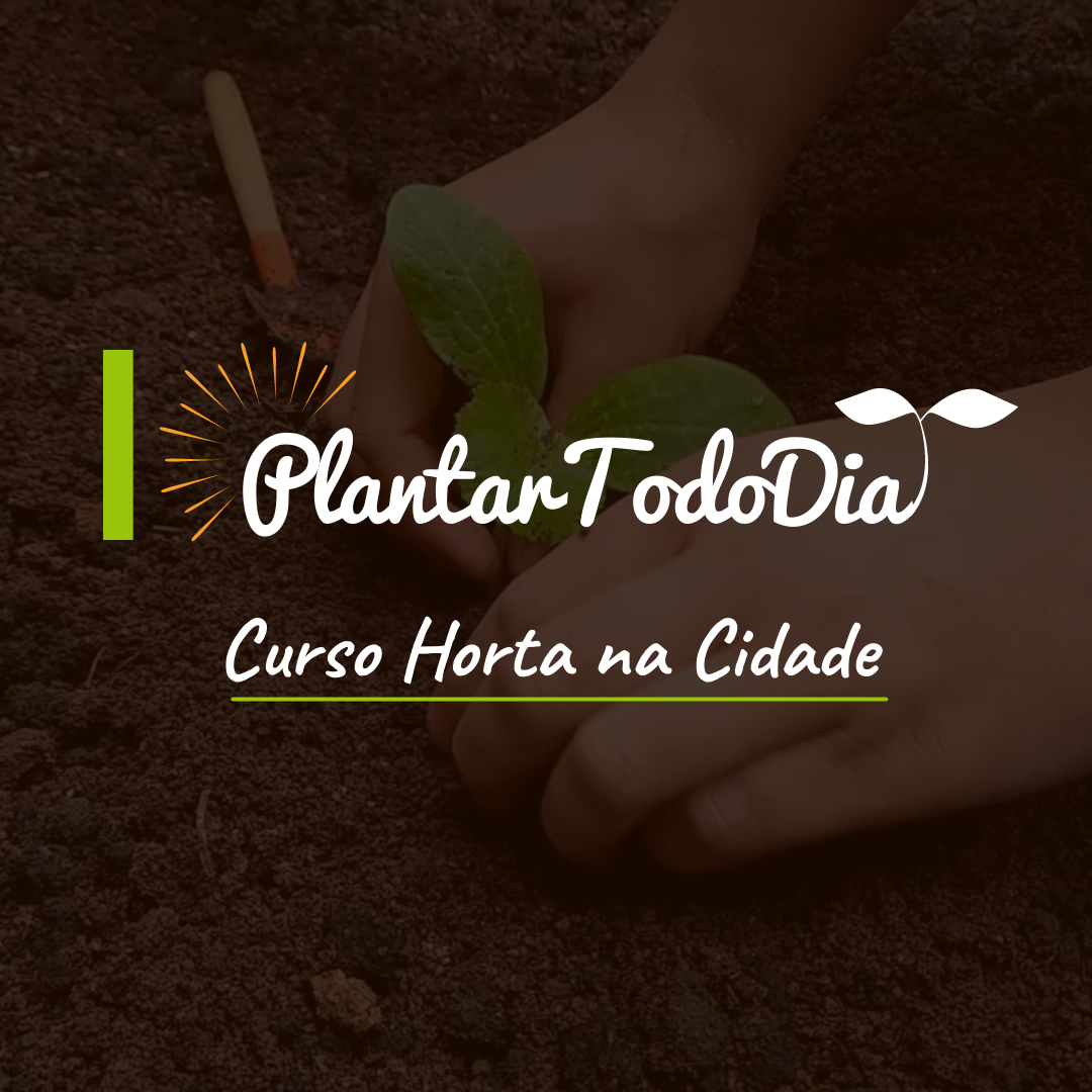 Imagem do curso Curso de Horta na Cidade - Plantar Todo Dia