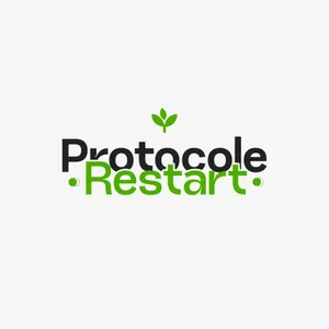 Image de couverture pour le Cours en ligne Protocole Restart