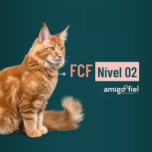 Imagem de capa para o Curso online Formação em Comportamento Felino | Nível 2.