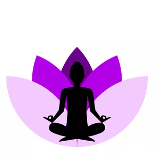 Curso Treinamento Vida Saudável (SP-PR)