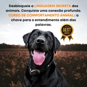 Imagem de capa para o Curso online Curso Rápido Completo - Resolvendo os Principais Problemas de Comportamento do seu Cão