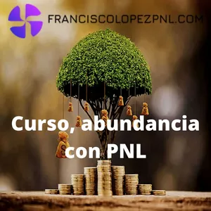 Imagem principal do produto Abundancia con PNL.