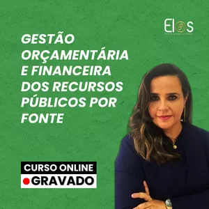 Imagem de capa para o Curso online Gestão Orçamentária e Financeira dos Recursos Públicos