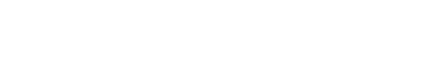 The Analyst's Playbook logo