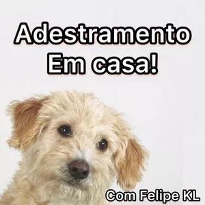 Capa do curso 