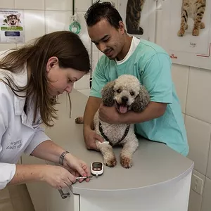 Imagem do curso Auxiliar de Veterinária Pequeno Porte