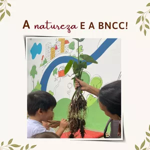 Imagem de capa para o Curso online A Natureza e a BNCC!