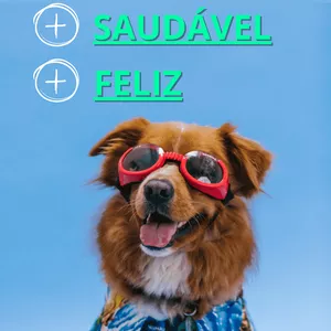 Imagem de Guia do Cãozinho Saudável e Feliz criado por Elcy Gomes Pereira Junior na hotmart