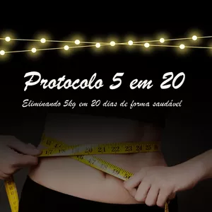 Imagem de capa para o Ebook Protocolo 5 em 20 - Day Camargo