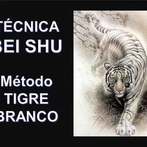 Imagem de capa para o Curso online TÉCNICA BEI SHU