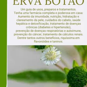 Imagem de capa para o Ebook O Poder da Erva Botão