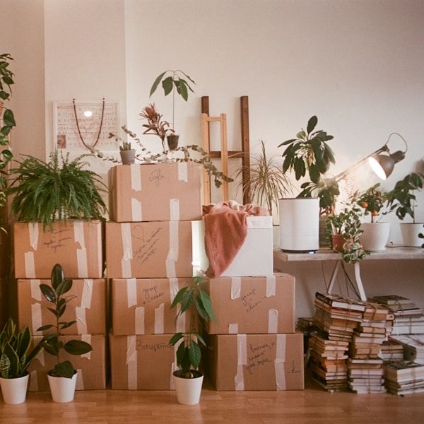 Imagem de Fraga criado por Rafael na hotmart