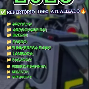 Imagem do curso ⏩ PECK DE MUSICAS ATUALIZADAS2025, ✅ ATUALIZE SEU PENDRIVE ????