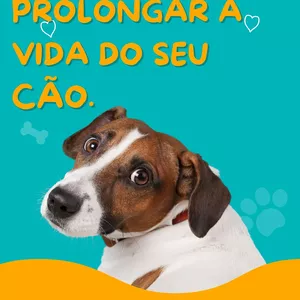 Imagem de capa para o Ebook COMO PROLONGAR A VIDA DO SEU CÃO.