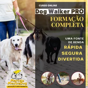 Capa do curso 