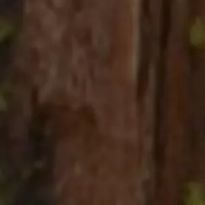 Cover image for Online course wqasd