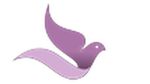 Burd Education for Pregnancy, Postpartum and Parenting logo