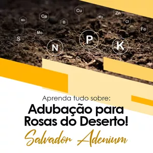 Imagem de capa para o Curso online CURSO 4 - ADUBAÇÃO PARA ROSAS DO DESERTO