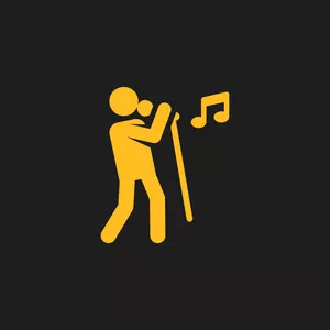 Imagem de capa para o Curso online CARREIRA MUSICAL