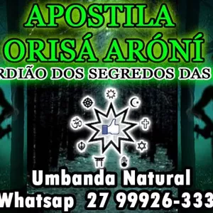 Imagem de capa para o Ebook APOSTILA ORIXÁ ARÓNÍ - O GUARDIÃO DOS SEGREDOS DAS MATAS