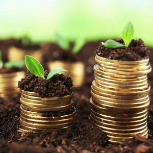 Imagen de portada para Curso online Inversiones a Largo Plazo: Estrategias para Construir Patrimonio