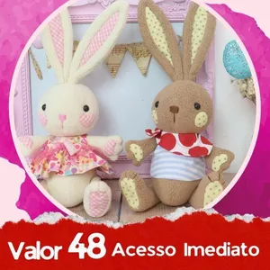 Imagem de capa para o Curso online 19ª Vídeo Aula Baby Bunnie