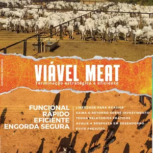 Imagem de capa para o Curso online AGRO | PECUÁRIA | LUCRE MAIS CONFINAMENTO | Análise de viabilidade para sistemas intensivos de pecuária