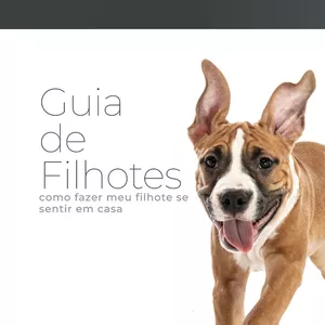 Imagem de capa para o Ebook Guia de filhotes 