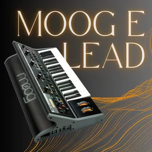 Cover image for Ebook MOOG E LEAD