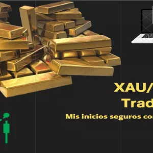 Imagen de portada para Ebook Mis inicios en el ORO - XAU/USD