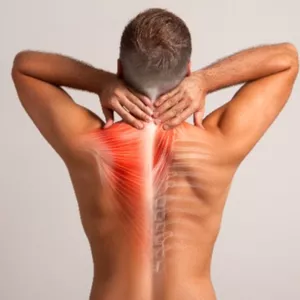 Imagen de portada para Ebook Salud de la Columna