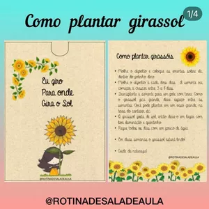 Imagem de capa para o Ebook ENVELOPE DE GIRASSÓIS