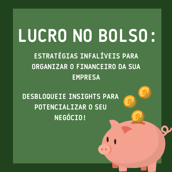 Lucro no Bolso:  Estratégias Infalíveis para Organizar o Financeiro do seu Pequeno Negócio