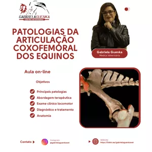 Imagem do curso  AULÃO VET – Patologias da Articulação Coxofemoral em Equinos - Medica Veterinária Dra Gabriela Guenka 