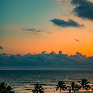 Imagem de capa para o Curso online Foto para papel de parede