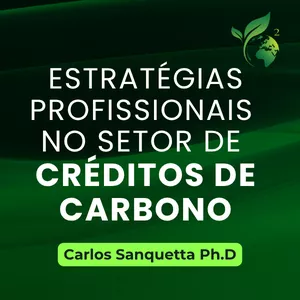 Imagem de capa para o Curso online Estratégias Profissionais no Setor de Créditos de Carbono